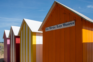 Diagnostiqueur immobilier Les Abymes